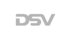 logo_dsv